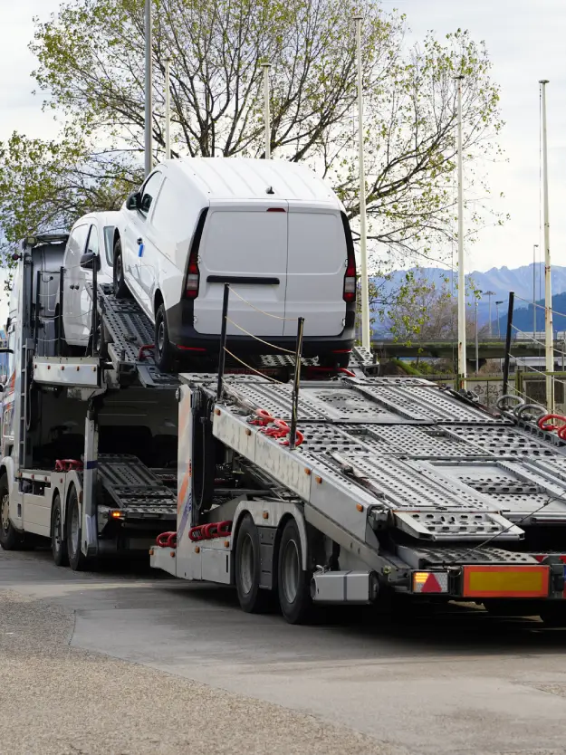 Professional Auto Transport